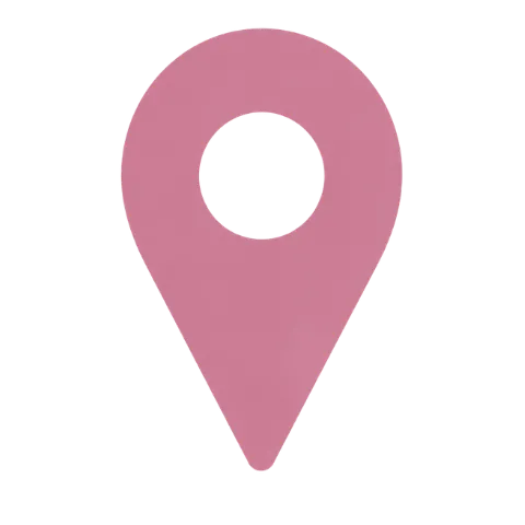 icon-pin